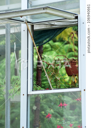 section of a glass wall of a tropical flower greenhouse with an open window, outside view section of a glass wall of a tropical flower greenhouse with an open window, outside view 106940661