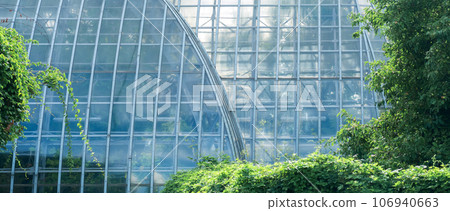 view of the glass wall of a large vintage palm greenhouse behind the outdoor trees view of the glass wall of a large vintage palm greenhouse behind the outdoor trees 106940663