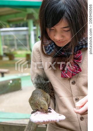 A girl looking at a squirrel eating food A girl looking at a squirrel eating food 106940666