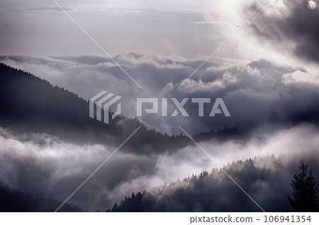 Foggy morning landscape Foggy morning landscape 106941354