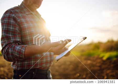 Expert hand of farmer checking soil health before growth a seed of vegetable or plant seedling. 106941381