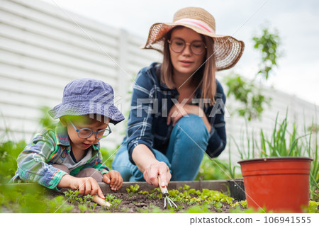 Child and mother gardening in vegetable garden in backyard Child and mother gardening in vegetable garden in backyard 106941555