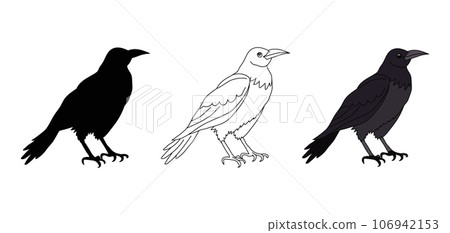 Black crow or raven. Contour, silhouette, crow in color. Vector isolated on white. Wild bird. A pet. Cartoon style. Badge, icon, emblem, textile, print, pet shop, animal shelter zoo coloring book 106942153