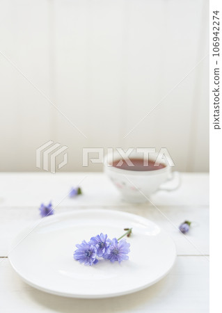 Cichorium flowers in a saucer, on a light background. Flowers of ordinary chicory or cichorium dioecious. With space to copy. High quality photo Cichorium flowers in a saucer, on a light background. Flowers of ordinary chicory or cichorium dioecious. With space to copy. High quality photo 106942274