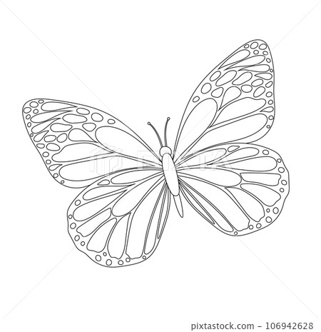 Vector illustration of a butterfly with beautiful open wings for children's materials. 106942628