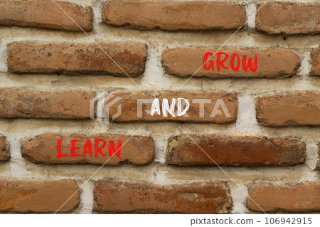Learn and grow symbol. Concept word Learn And Grow on beautiful red brown bricks. Beautiful red brown brickwall background. Business, education learn and grow concept. Copy space. Learn and grow symbol. Concept word Learn And Grow on beautiful red brown bricks. Beautiful red brown brickwall background. Business, education learn and grow concept. Copy space. 106942915