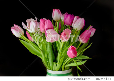 Pink bouquet of flowers growing in a vase against a black background. Beautiful flowering plants blooming in a jar displayed against a dark setup. Pretty tulips budding in a vessel on a table 106944145