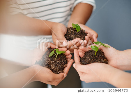 We all have to start somewhere. Cropped shot of an unrecognizable group of businesswomen holding plants growing out of soil inside an office. 106944773