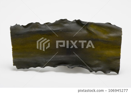 Kelp Kelp 106945277