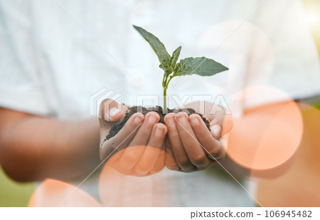 Nothing soothes better than nature. Shot of an unrecognizable little boy holding plants growing out of soil. 106945482