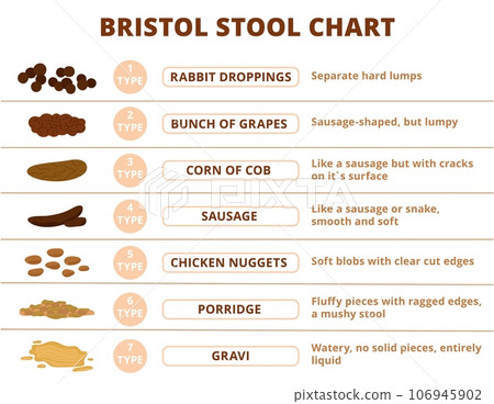 Bristol stool scale, poop types infographic. Digestive problems medical poster, different poops structure. Faeces or excrement decent medicine info banner Bristol stool scale, poop types infographic. Digestive problems medical poster, different poops structure. Faeces or excrement decent medicine info banner 106945902