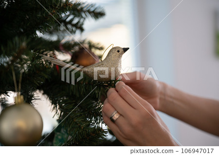 Placing shiny golden holiday bird ornament on christmas tree 106947017