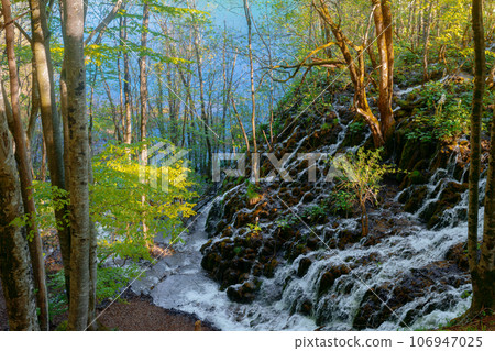 Beautiful view of Plitvicka lakes National park Beautiful view of Plitvicka lakes National park 106947025