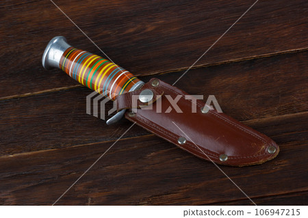 Vintage hunting knife with leather holster 106947215