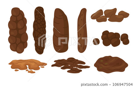 Bristol stool form scale with faeces type images Bristol stool form scale with faeces type images 106947504