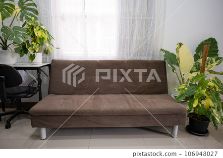 Defocused home interior design, Home decor with fabric sofa brown color and green houseplants, Green plants in pot nearing sofa in living room at home Defocused home interior design, Home decor with fabric sofa brown color and green houseplants, Green plants in pot nearing sofa in living room at home 106948027