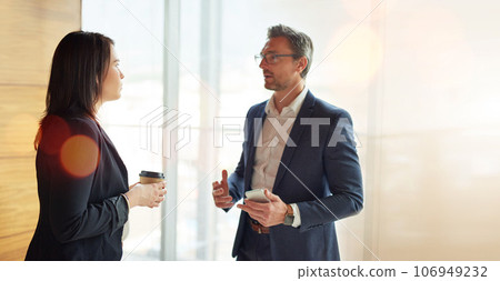 Business people, team and manager talking, planning and advice for Human Resources feedback and company management. Professional woman and corporate executive or boss in discussion for HR planning 106949232