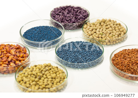 Colorful pesticide-treated rapeseed, sunflower, wheat, pea, soy, and corn seeds in a petri dish in the lab Colorful pesticide-treated rapeseed, sunflower, wheat, pea, soy, and corn seeds in a petri dish in the lab 106949277