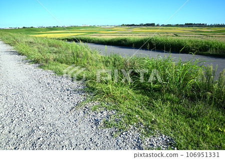 View from the Arakawa bank, riverbed, downstream of the Arakawa 106951331