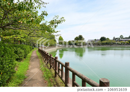 八角湖（千葉縣東金市） 106951639