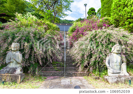 佛像和三葉草在路上 106952039