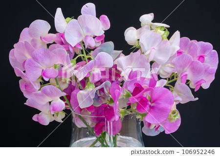 Bouquet of sweet peas in a glass container Bouquet of sweet peas in a glass container 106952246