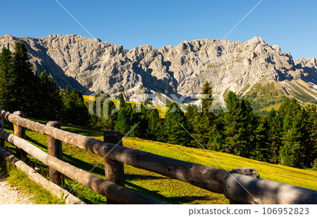 Alpine meadow with wooden-railed trail leading to Munt de Fornella in Dolomites 106952823