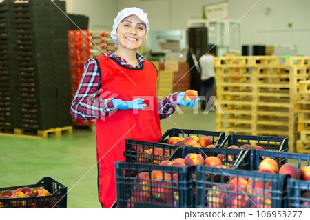 Woman standing in fruits warehouse showing peaches Woman standing in fruits warehouse showing peaches 106953277