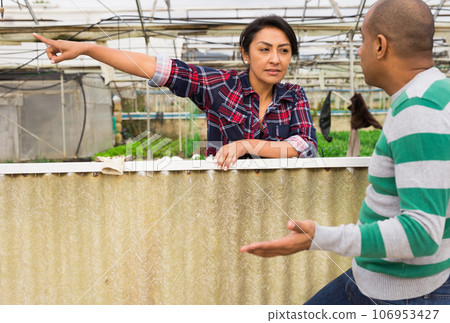 Conflict between neighbors over backyard Conflict between neighbors over backyard 106953427