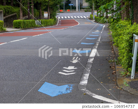 Bicycle navigation mark (white) and bicycle navigation line (blue) installed at the left end of the roadway Bicycle navigation mark (white) and bicycle navigation line (blue) installed at the left end of the roadway 106954737