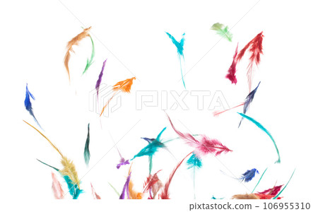 Many color Feather fly fall beautiful spiral pattern in air over black background isolated. Puffy Fluffy soft feathers like dream floating dove in sky. Colorful feathers are so light and delicate Many color Feather fly fall beautiful spiral pattern in air over black background isolated. Puffy Fluffy soft feathers like dream floating dove in sky. Colorful feathers are so light and delicate 106955310