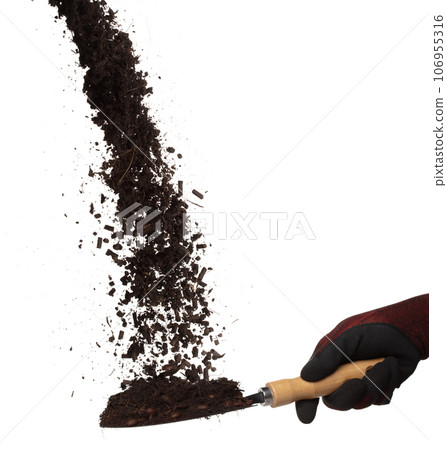 Fertilizer Coffee bean seed powder mixed soil fly fall in shovel, Fertilizer Coffee bean soil for planting float in air. Fertilizer Coffee bean throw in mid air. White background Isolated series two 106955316