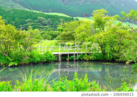 箱根濕地花園景觀 箱根濕地花園景觀 106956015