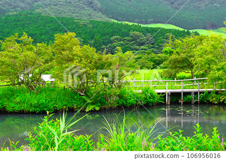 箱根濕地花園景觀 箱根濕地花園景觀 106956016