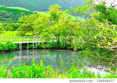 View of Hakone Wetland Flower Garden View of Hakone Wetland Flower Garden 106956017