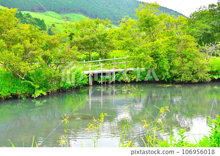 View of Hakone Wetland Flower Garden View of Hakone Wetland Flower Garden 106956018