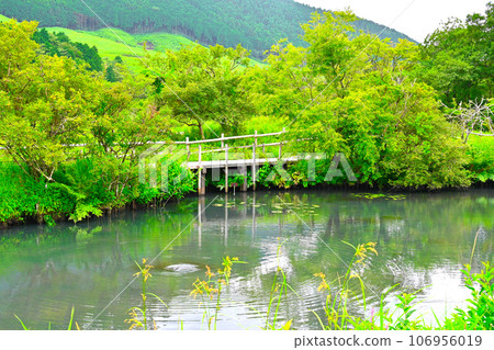 箱根濕地花園景觀 箱根濕地花園景觀 106956019