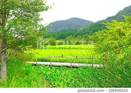 箱根濕地花園景觀 106956020
