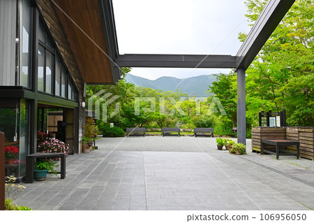 箱根濕地花園景觀 箱根濕地花園景觀 106956050