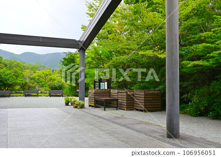 箱根濕地花園景觀 箱根濕地花園景觀 106956051