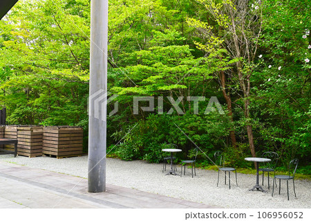箱根濕地花園景觀 箱根濕地花園景觀 106956052