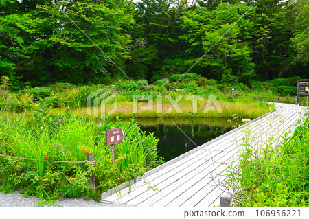 View of Hakone Wetland Flower Garden View of Hakone Wetland Flower Garden 106956221