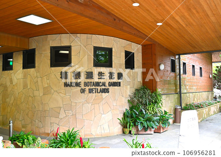 箱根濕地花園照片 106956281