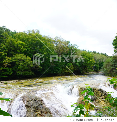 Otaki Niagara Otaki Niagara 106956737