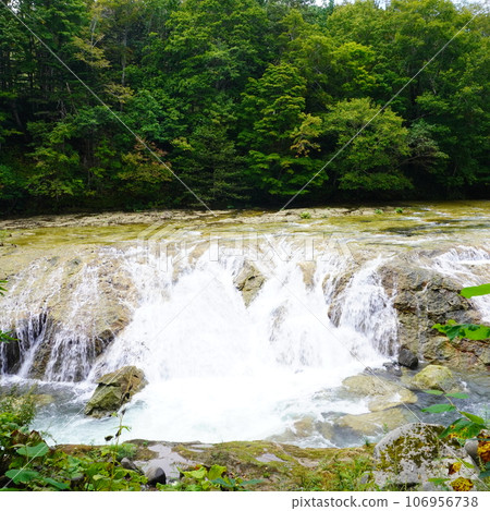 Otaki Niagara Otaki Niagara 106956738