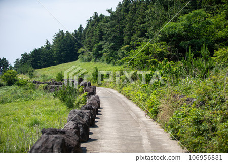 Geumoreum, a famous paragliding spot on Jeju Island, South Korea Geumoreum, a famous paragliding spot on Jeju Island, South Korea 106956881