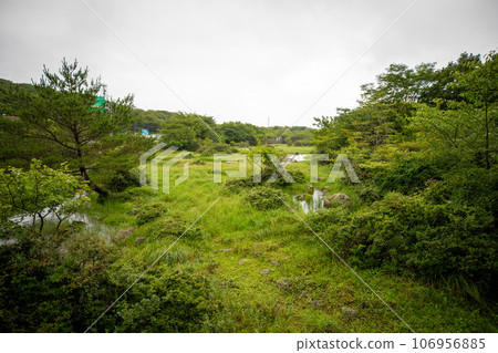 Geumoreum, a famous paragliding spot on Jeju Island, South Korea Geumoreum, a famous paragliding spot on Jeju Island, South Korea 106956885