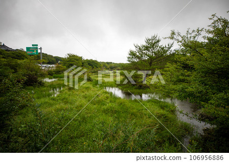 Geumoreum, a famous paragliding spot on Jeju Island, South Korea Geumoreum, a famous paragliding spot on Jeju Island, South Korea 106956886