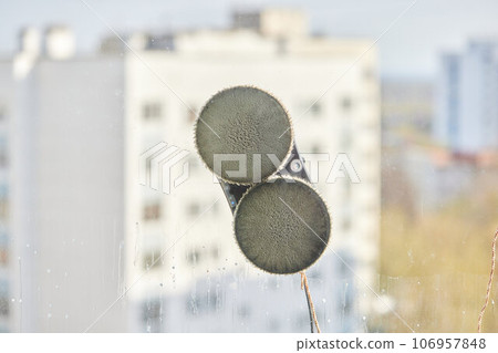 A window cleaner robot washes glass against the backdrop of multi-storey buildings. 106957848