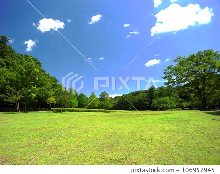 21st century forest and plaza landscape with early summer meadows and fresh green forests 106957945